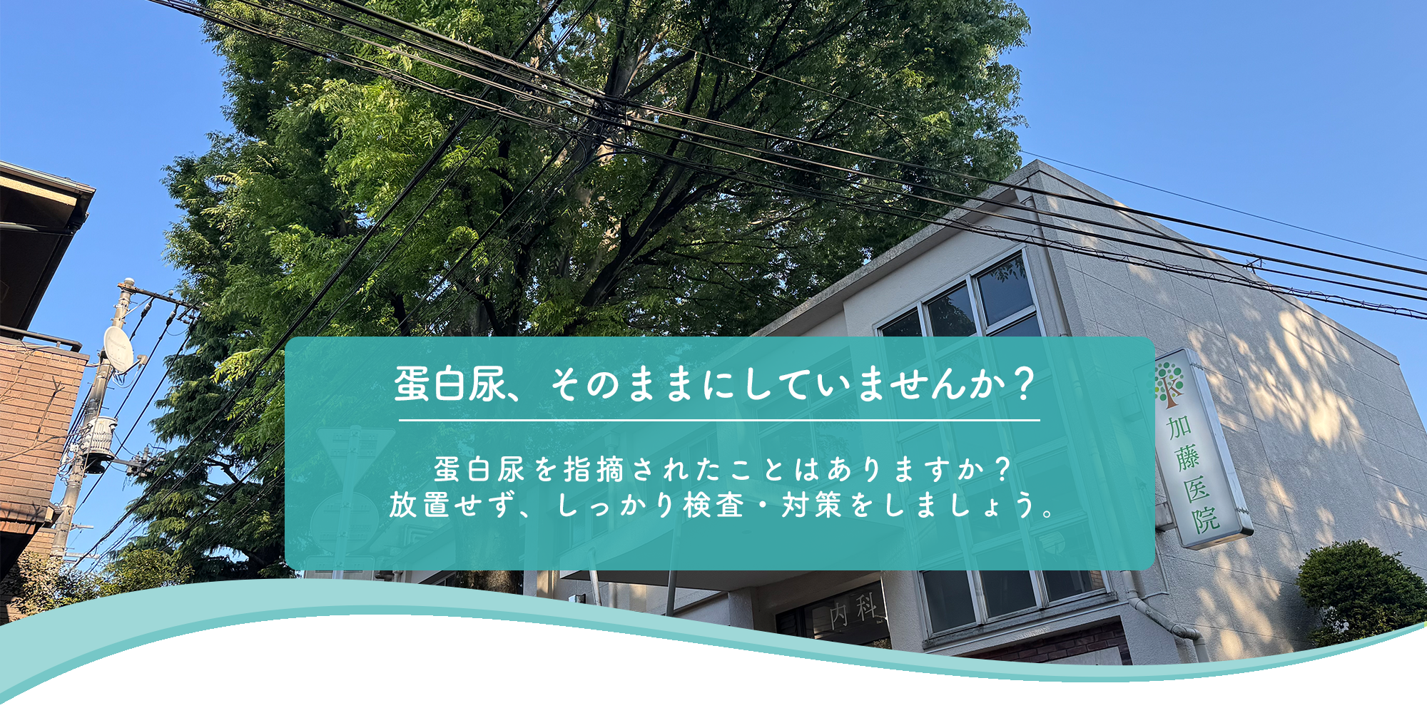 世田谷区梅丘 豪徳寺駅 内科 糖尿病内科 内分泌内科